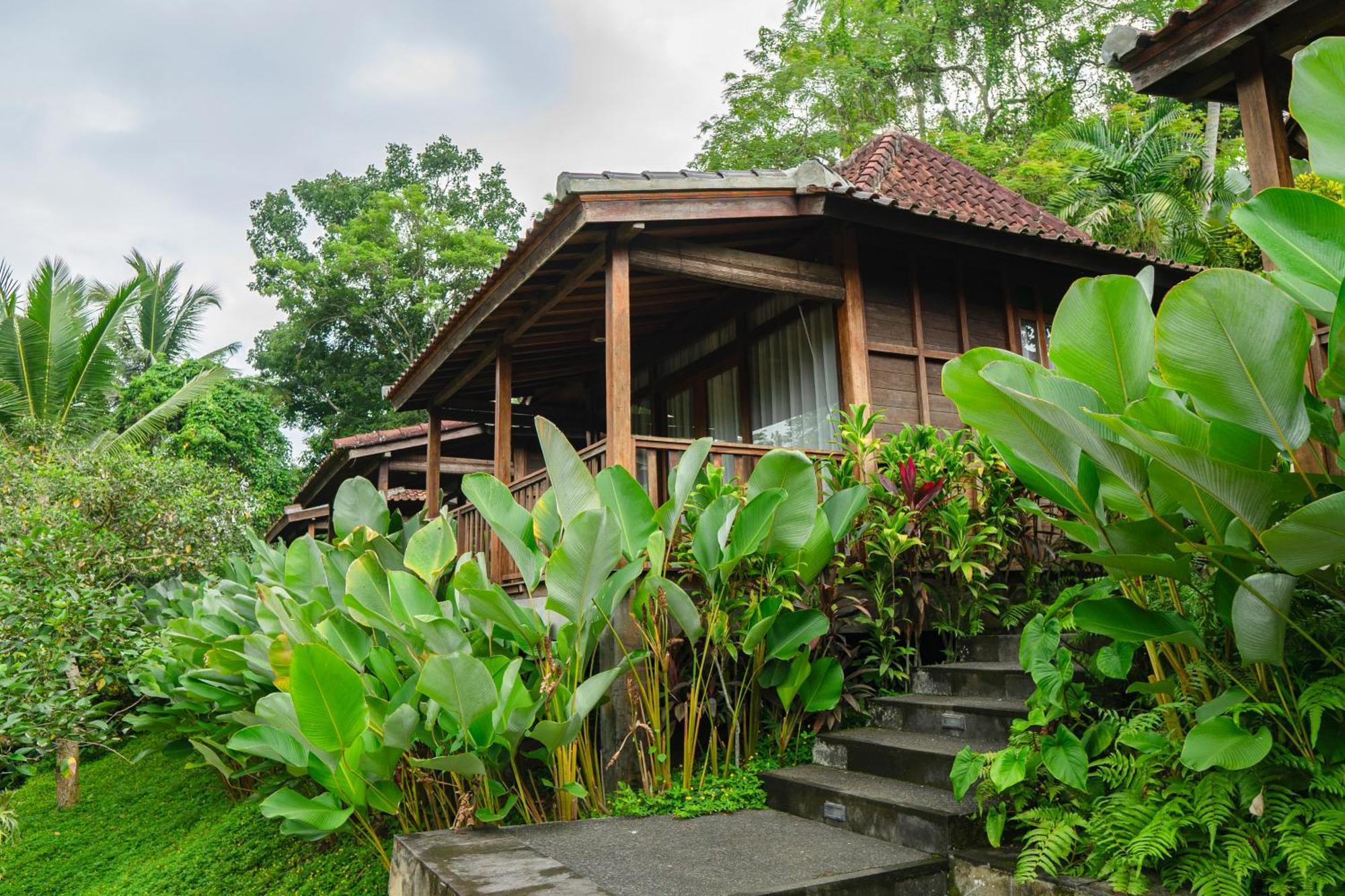 Pertiwi Bisma 1 Hotel Ubud  Ngoại thất bức ảnh