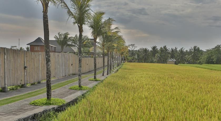 Pertiwi Bisma 1 Hotel Ubud  Ngoại thất bức ảnh
